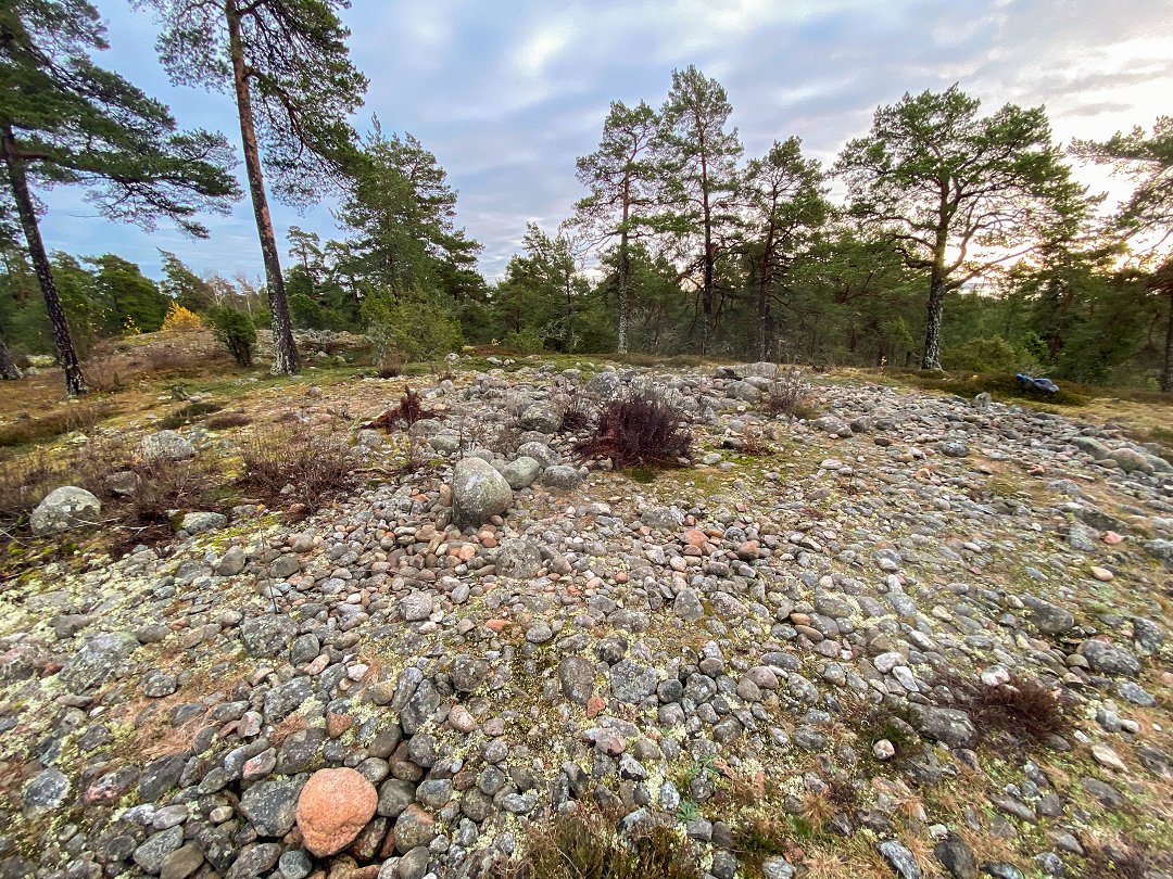 Rösaringsåsens naturreservat, Bro - november 2023 runda stenar